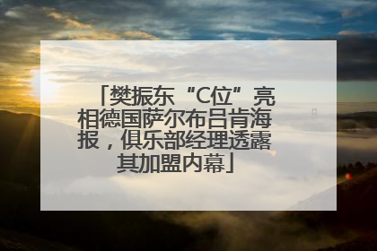 樊振东“C位”亮相德国萨尔布吕肯海报，俱乐部经理透露其加盟内幕
